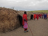 The old masai village they are showing the tourists